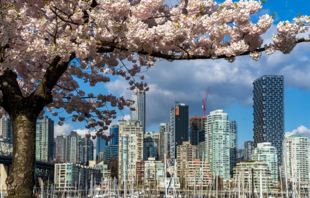 beautiful vancouver