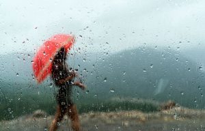 rainyday